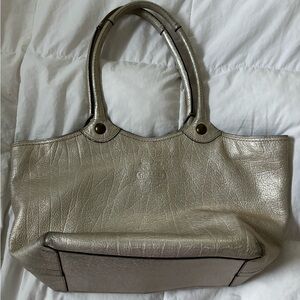 Metallic Coach Bag 🩶
